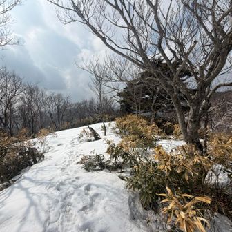 古倉山山頂到達