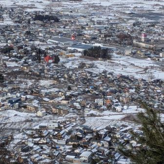 バラ公園と自宅探し。双眼鏡無きゃダメかな。小さい家なので。