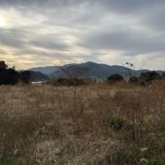 この奥がピーク。