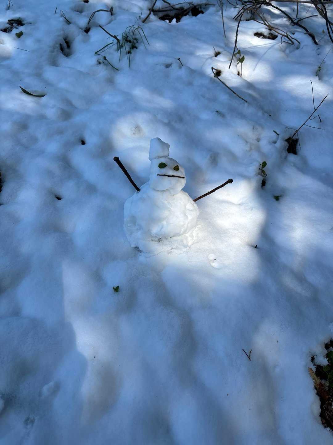 やまねこちゃん作のゆきだるま⛄️
その3へ続く。