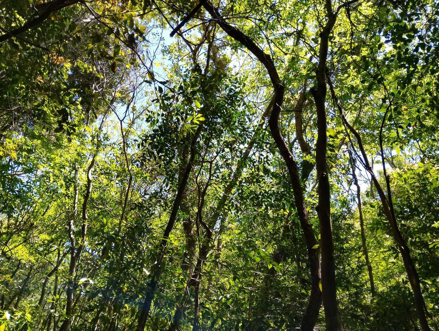 今日は下山中の人と何組もすれ違う。

朝から登ってたら、ちょうど下山の時間かぁ。