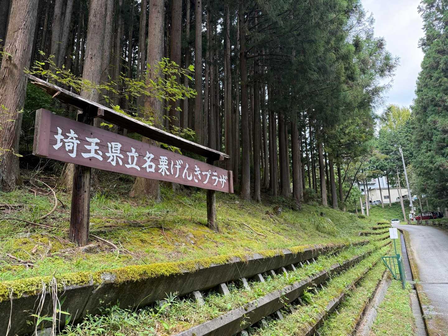 無事下山😆

時間がなかったから、仕方ないけど歩き足りない😙
次は、飯能アルプスの時だな✨