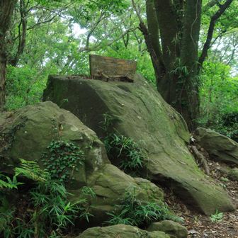 尖浅間山頂