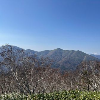 真ん中のトンガリは狩振かな