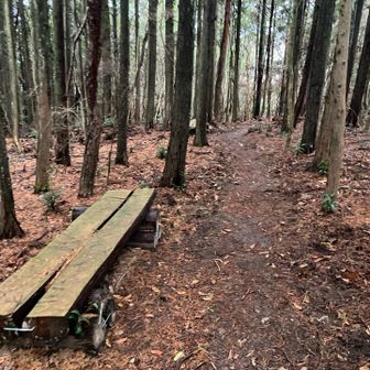 ここらが山頂プレートないや