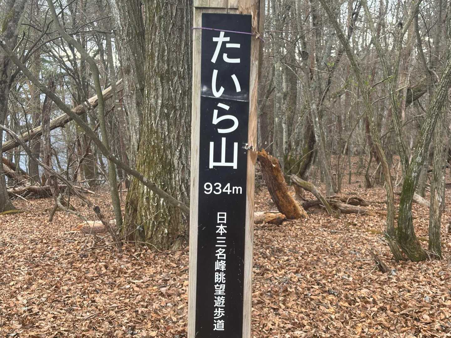 たいら山到着
