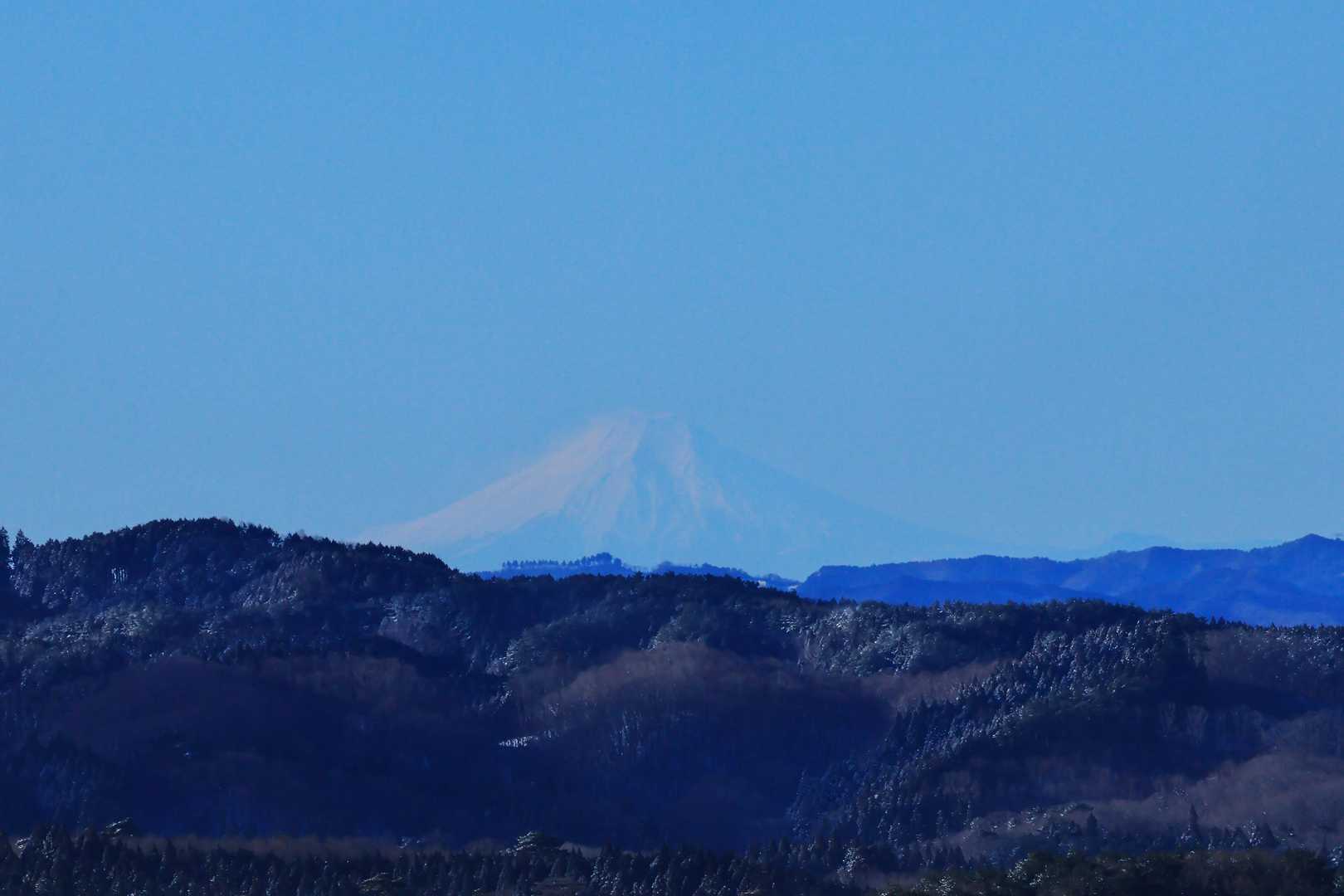 600mmの望遠で📷
