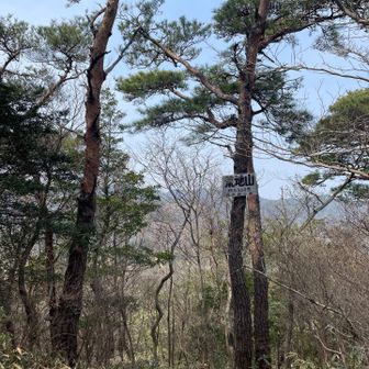 こっちのが看板でかかった