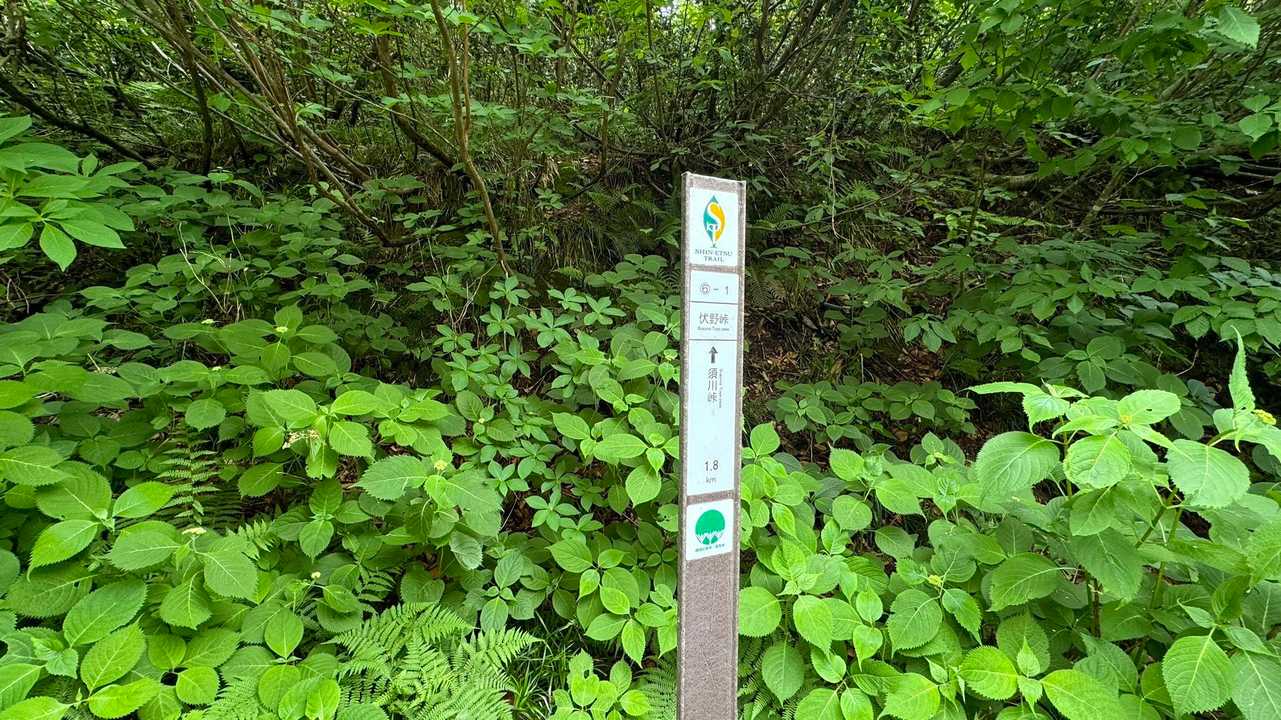 6-1、伏野峠