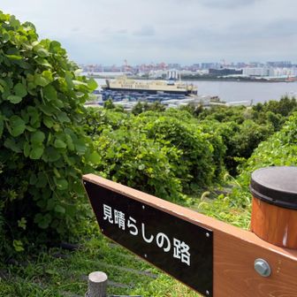 見晴らしの路
降りてみるが見晴らしなし
