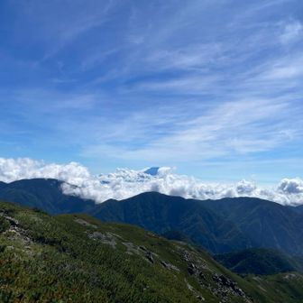 富士山隠れちゃった