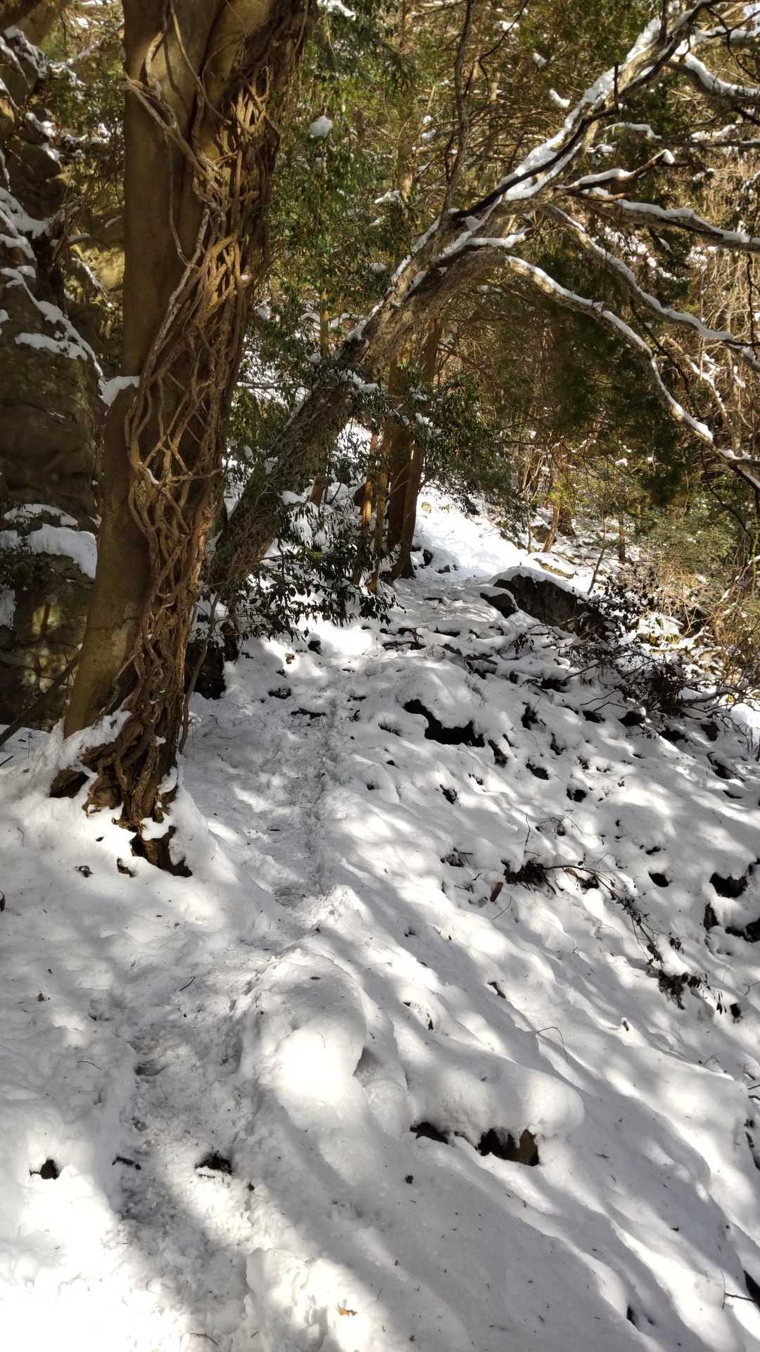 求菩提資料館前バス停-求菩提山 周回コースの写真