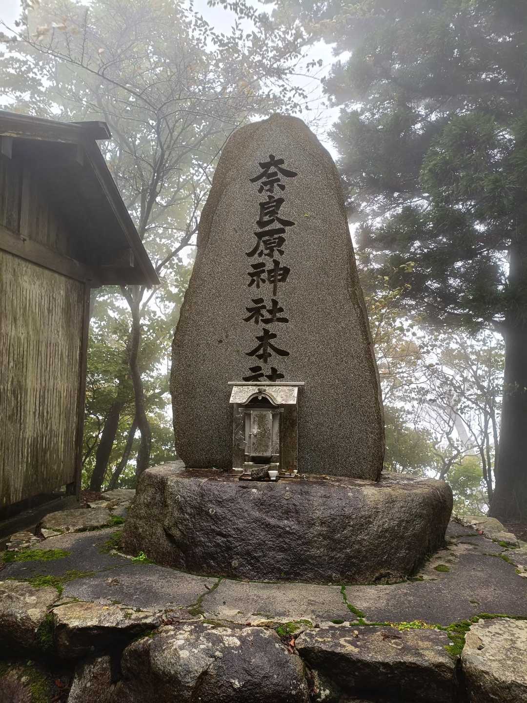 楢原山到着しました