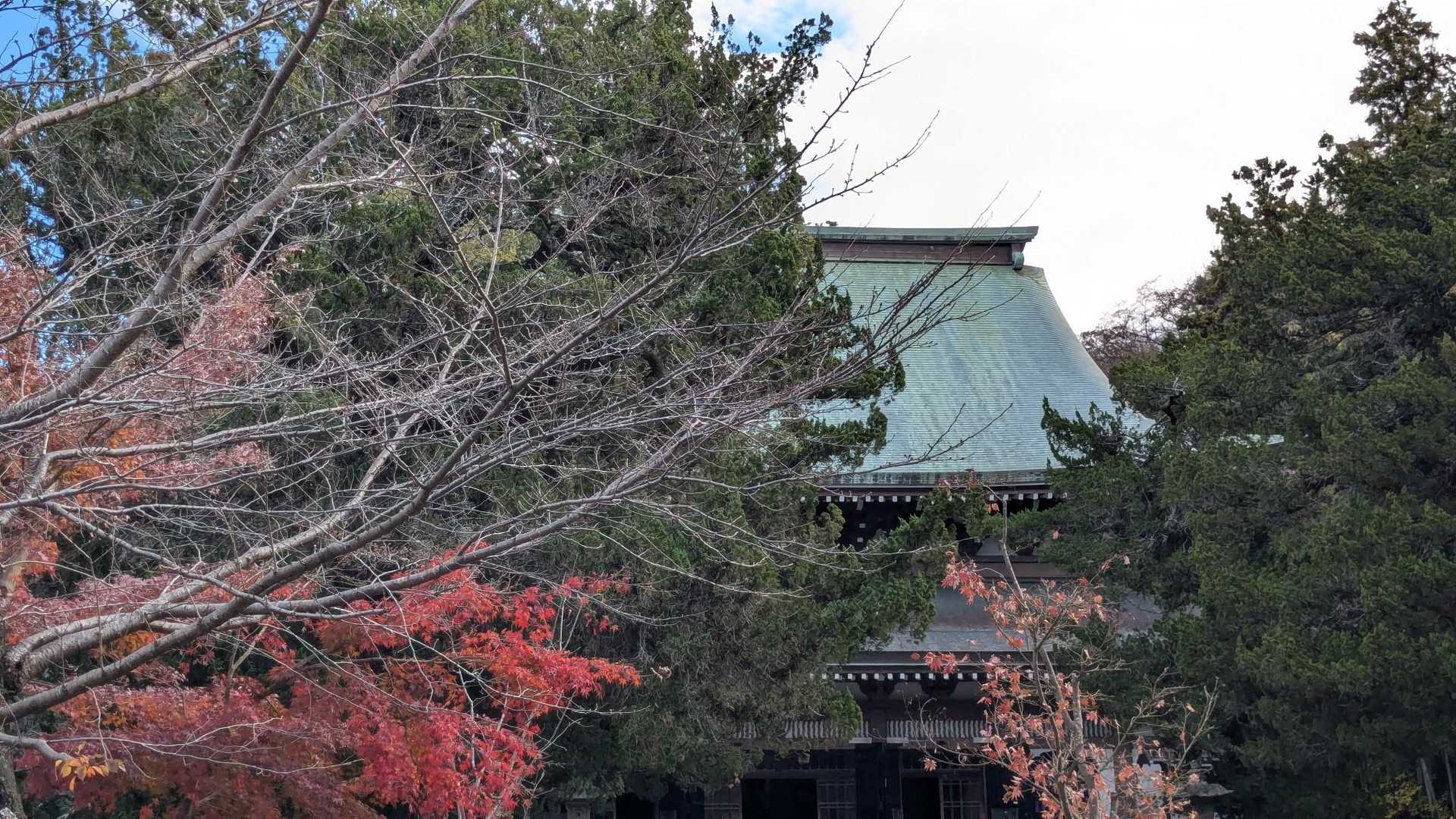 円覚寺の境内を歩き、今日は紅葉が期待できる予感がしました🍁
円覚寺は北条時宗の創建で鎌倉五山第二位の禅宗のお寺です📷