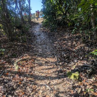 もうすぐ五井山頂
