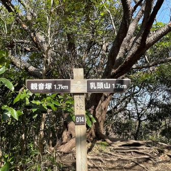 大桜と書いてありました