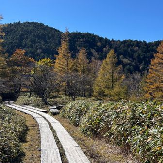 素敵な景色だし✨