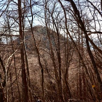 次に向けてまた急登💦後ろに見えるのはさっきまで居た今倉山🏔´-