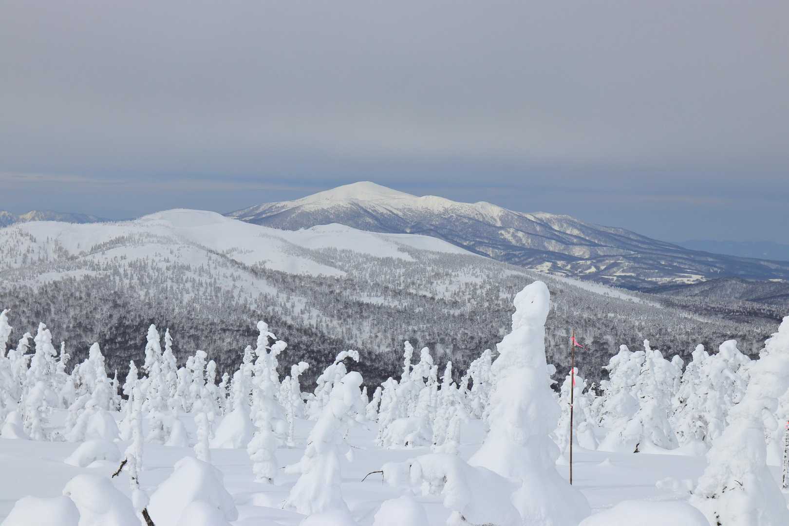 こちらは森吉山