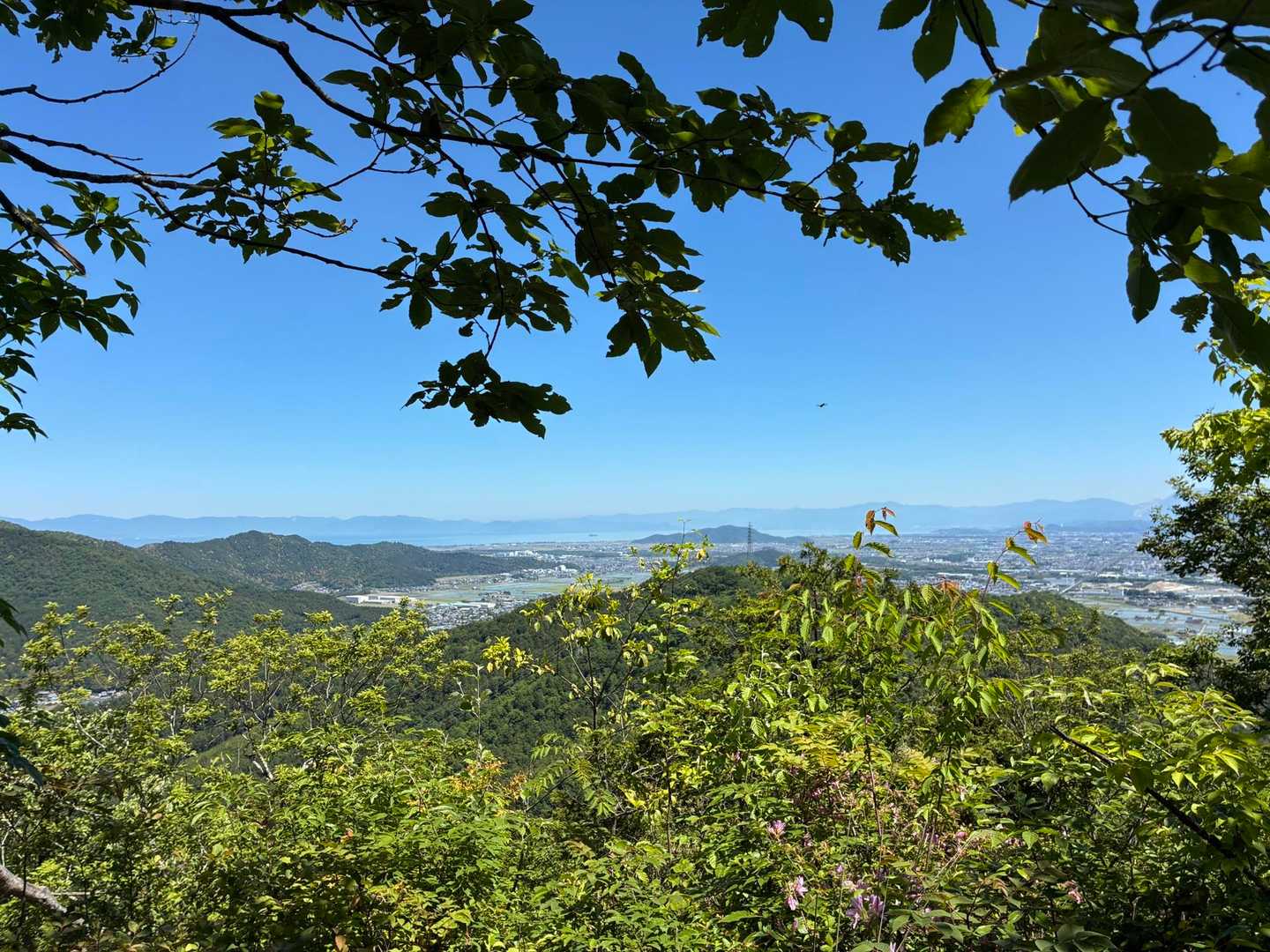 阿賀神社-太郎坊山-みつくり君休憩所-箕作山-瓦屋禅寺 往復コースの写真