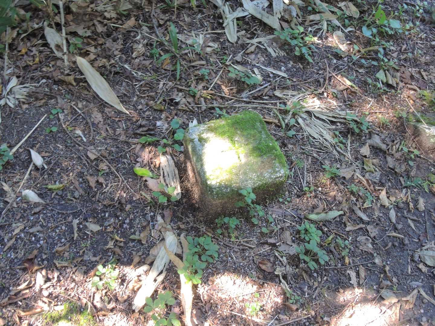 一等三角点、半甲山、743.5ｍ