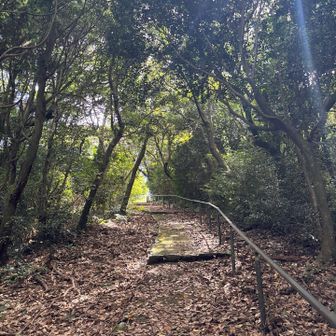 まあまあの山道(四国の酷道に比べたら断然マシだったけど🤭)を走って、番山展望台の駐車場に。
そこからこんな道を数分歩いたら…
