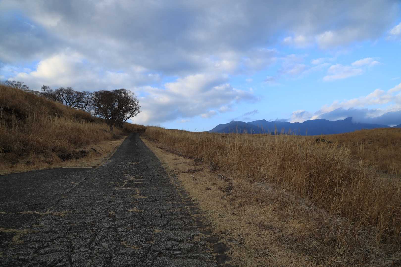 天城三筋山遊歩道入口-三筋山 往復コースの写真