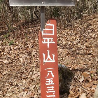 日平山