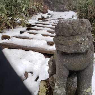 狛犬さん、また来年👋
(ちなみに一般的な狛犬の配置と左右が逆なんですよね、何故かは知らんけど🤔)

今日は全くトレーニングにならなかったので、
今年の登り納めは地獄を見ることになりそうです😁
(山友さん達のような体力がないので😅)
