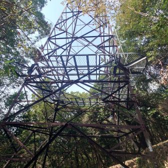 大谷山ピーク周辺 
ココにも山名札は無し
この後藪漕ぎしながら山を
直登するも結局わからず 笑