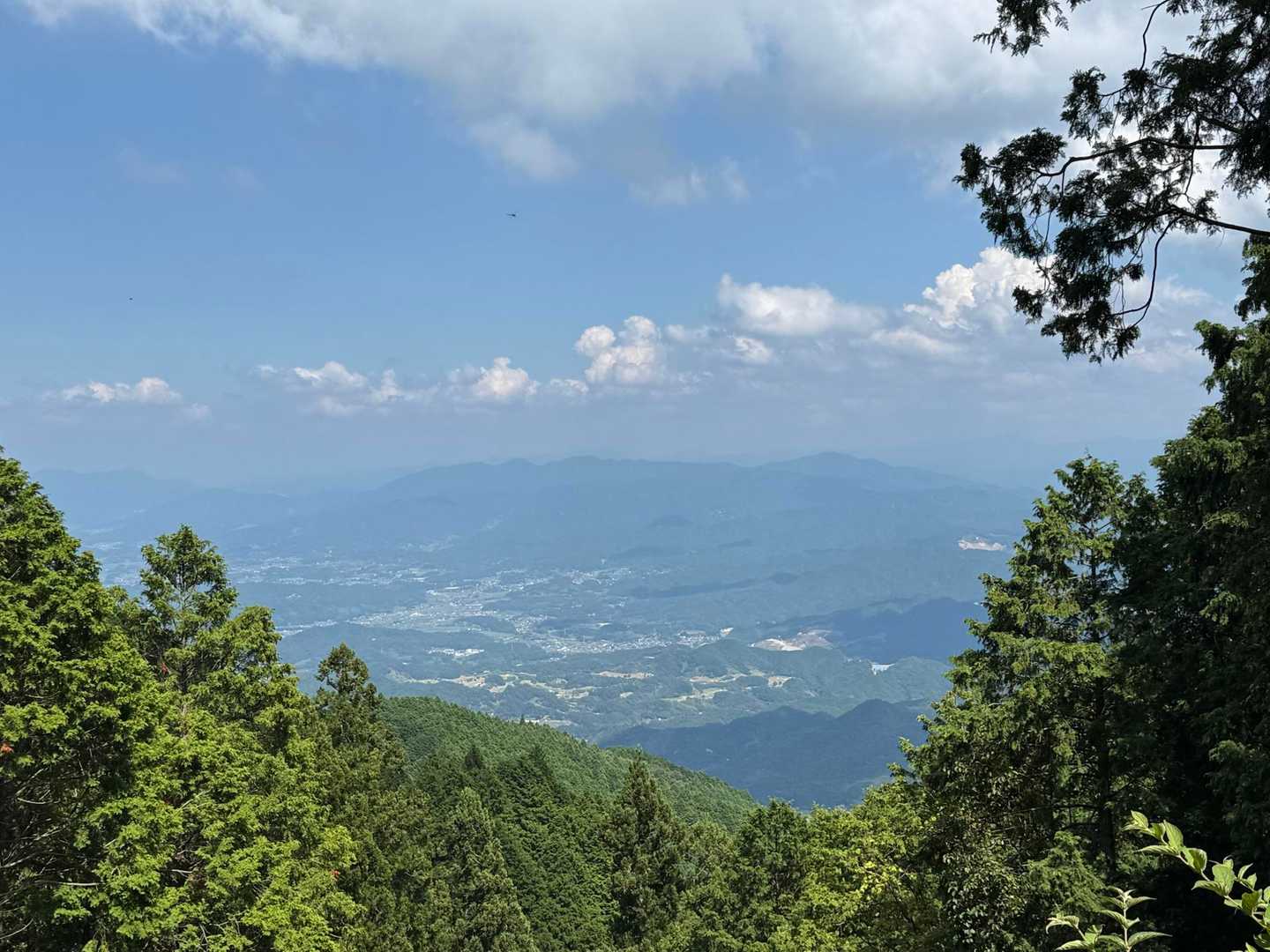 百ヶ辻登山口-伏見峠-府民の森 ちはや園地-金剛山 往復コースの写真