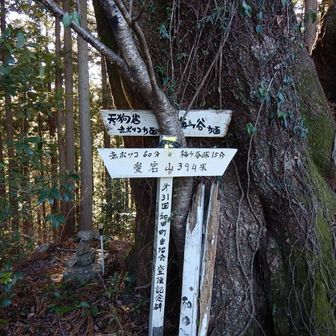 最後のピーク愛宕山到着
右の梅ヶ谷方面はヤマレコやYAMAPでは地図がないでしたが、踏み跡がしっかりしてそうなのでいきました