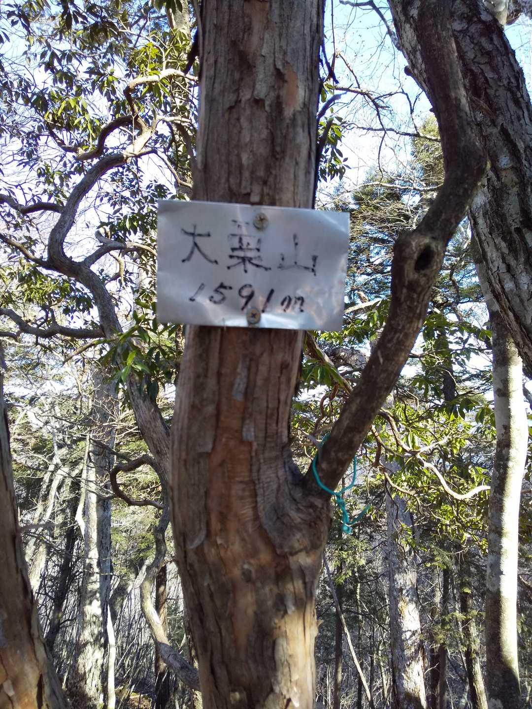 大栗山山頂標識
