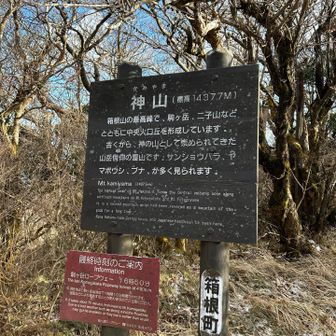 駒ヶ岳から神山へ…割と急登でした💦