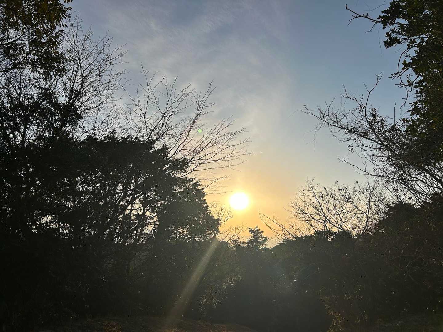 綺麗な夕陽見れた😍