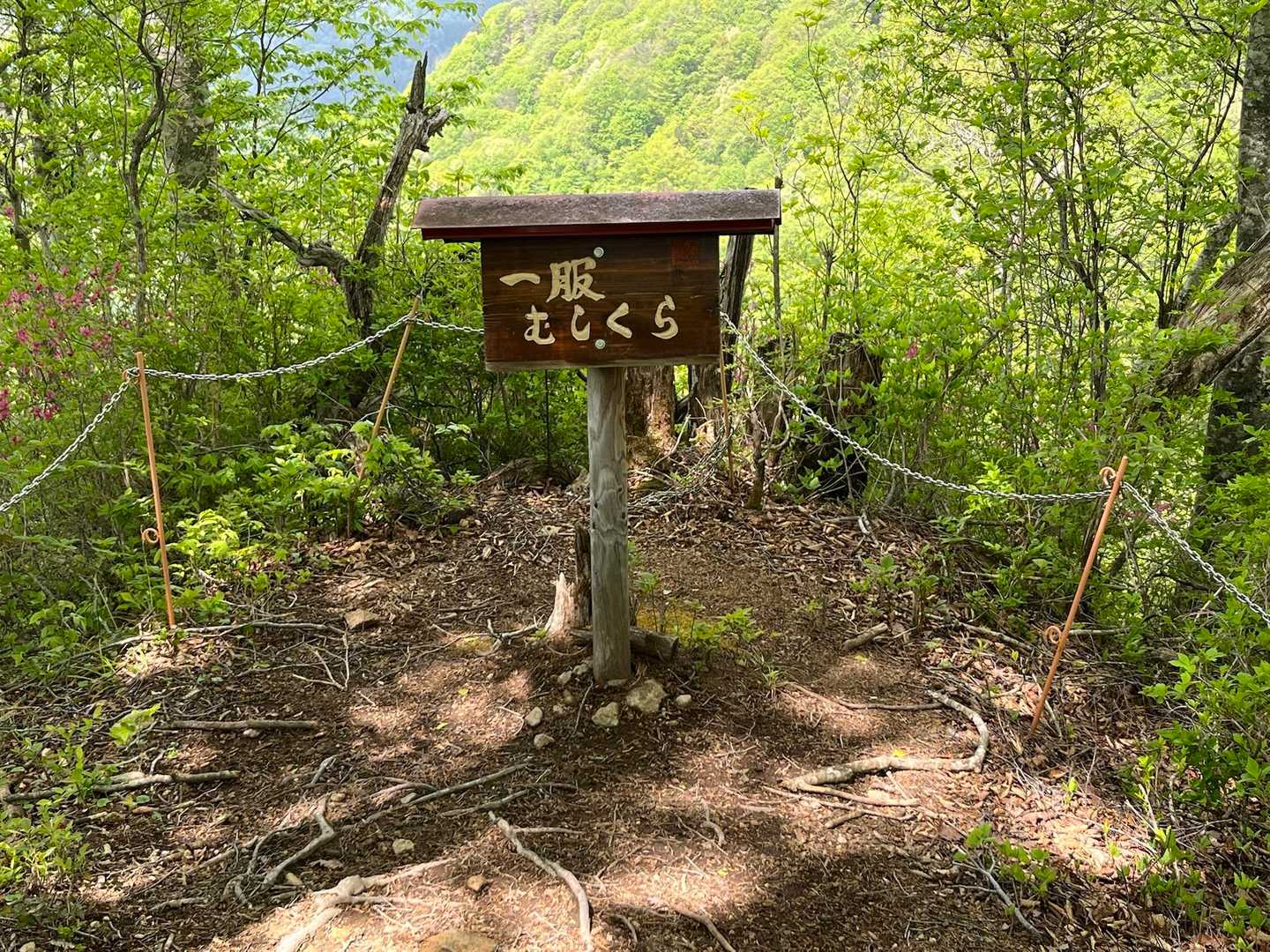 虫倉山登山道入口-虫倉山 往復コースの写真