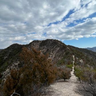 稜線歩きは気持ちいい〜