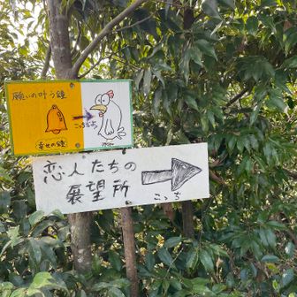 🔔が出来てから、つい足を運びたくなるのね