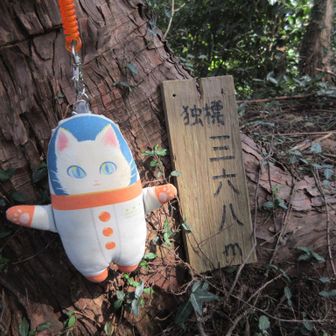 独標　山名板が足元で気づきにくい