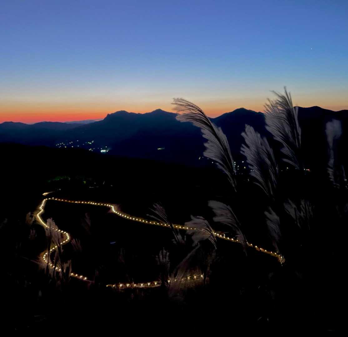 後古光山-古光山-亀山-亀山峠 周回コースの写真