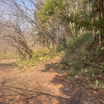 右へ
帰りは正面から