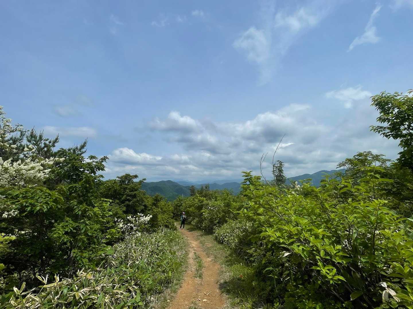 大倉岳-ほとけ峠 往復コースの写真