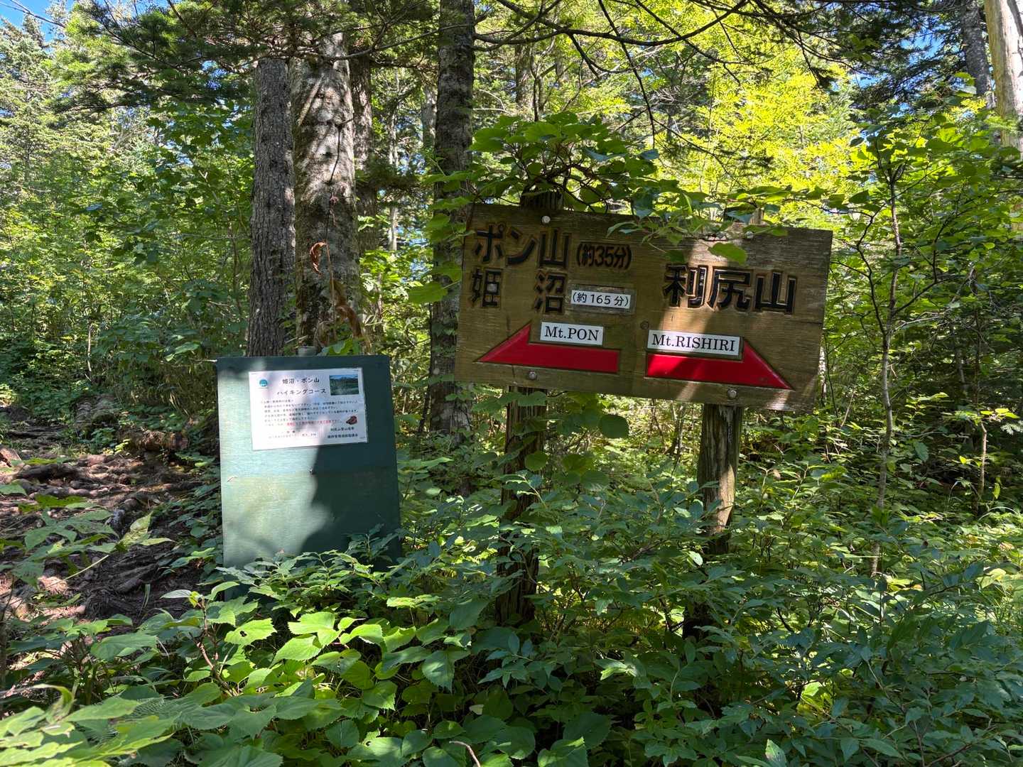 分岐　ポン山を目指します