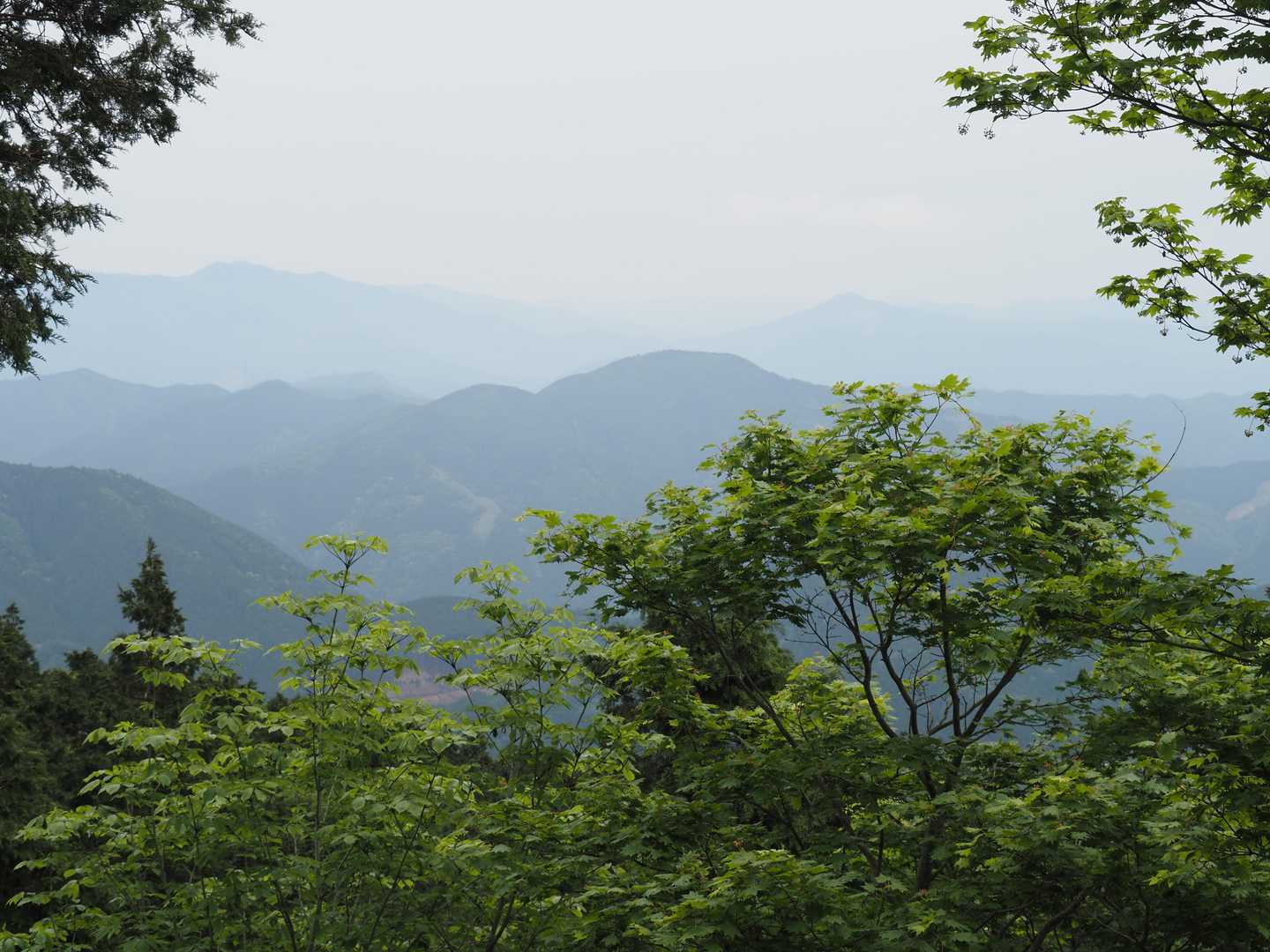 日名倉山と後山が見えていましたが、ガスでぼんやりでした。🤔