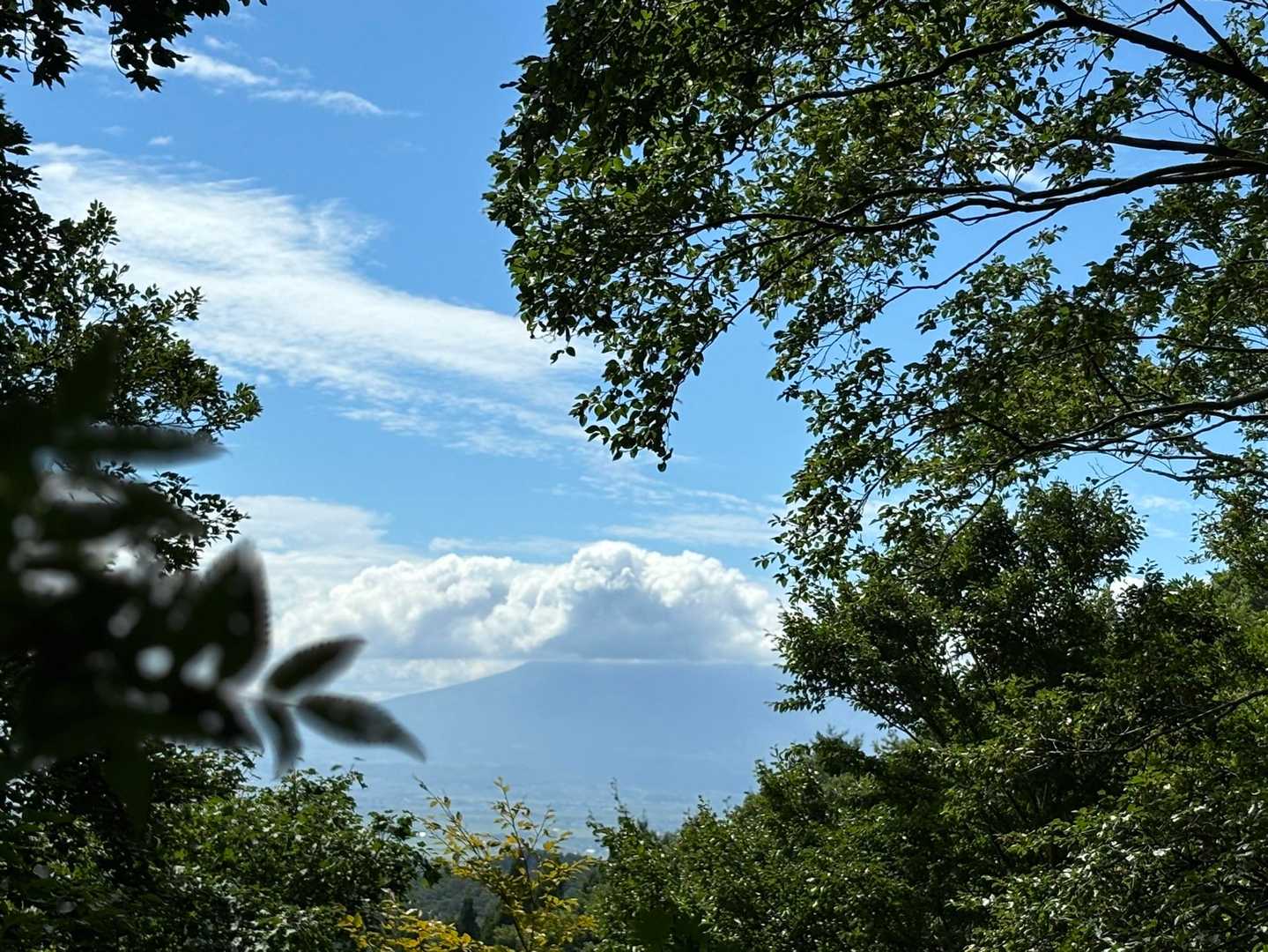 帰りめ寄ってみた。雲の中のまま