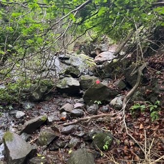 赤い⭕️が登山路の目印