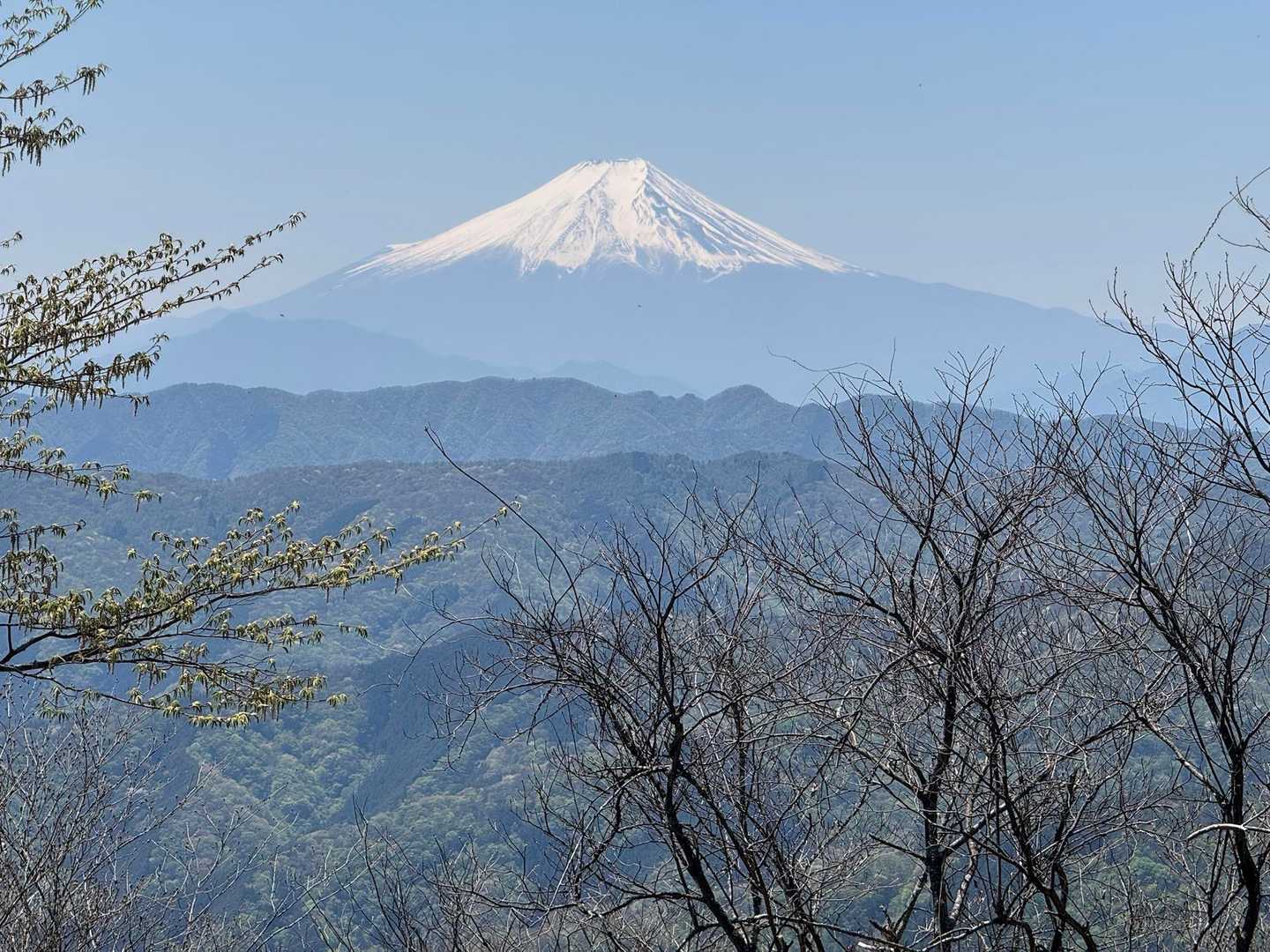 水窪山-小河内峠-惣岳山-御前山 往復コースの写真