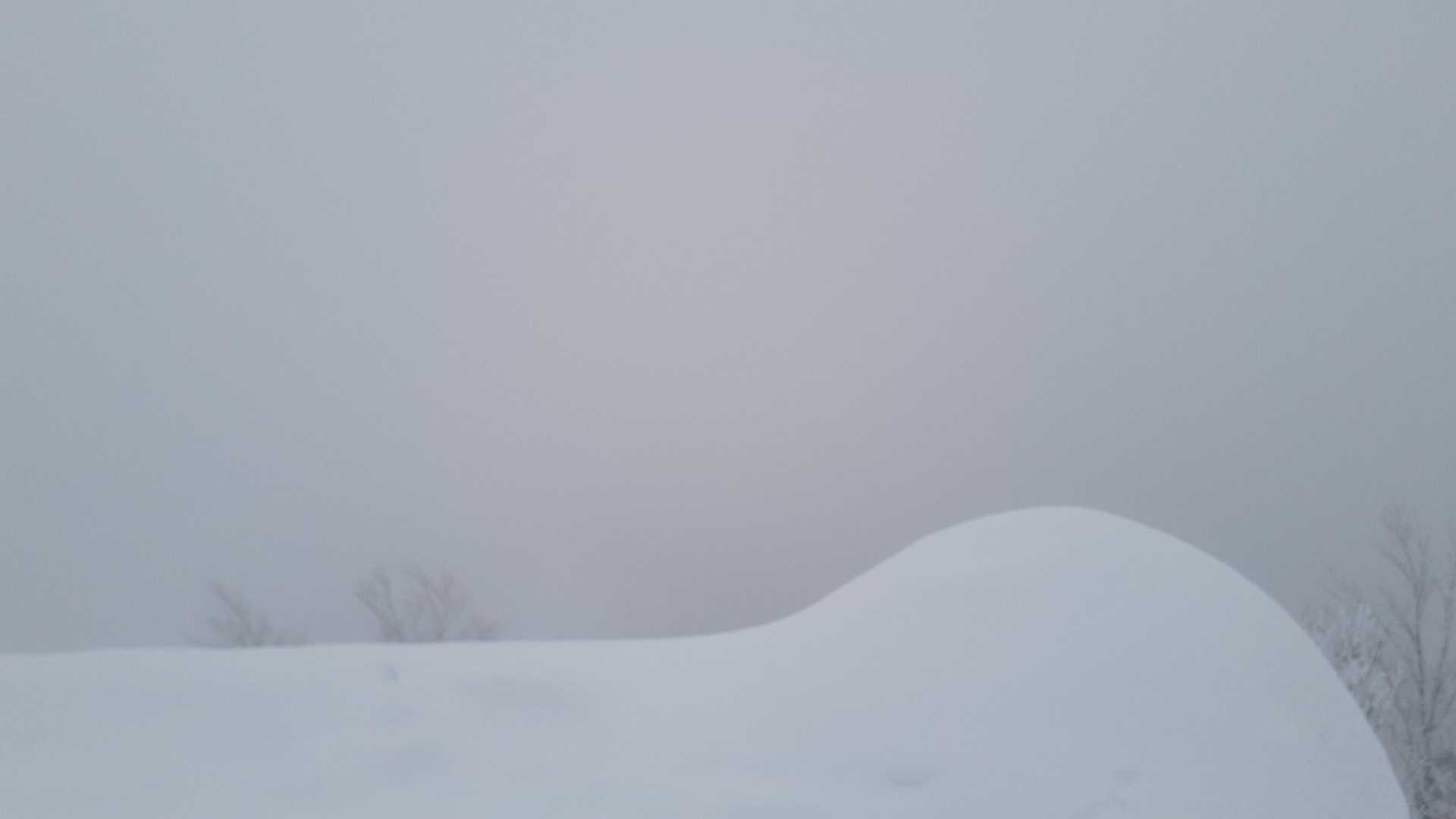 山頂見えず