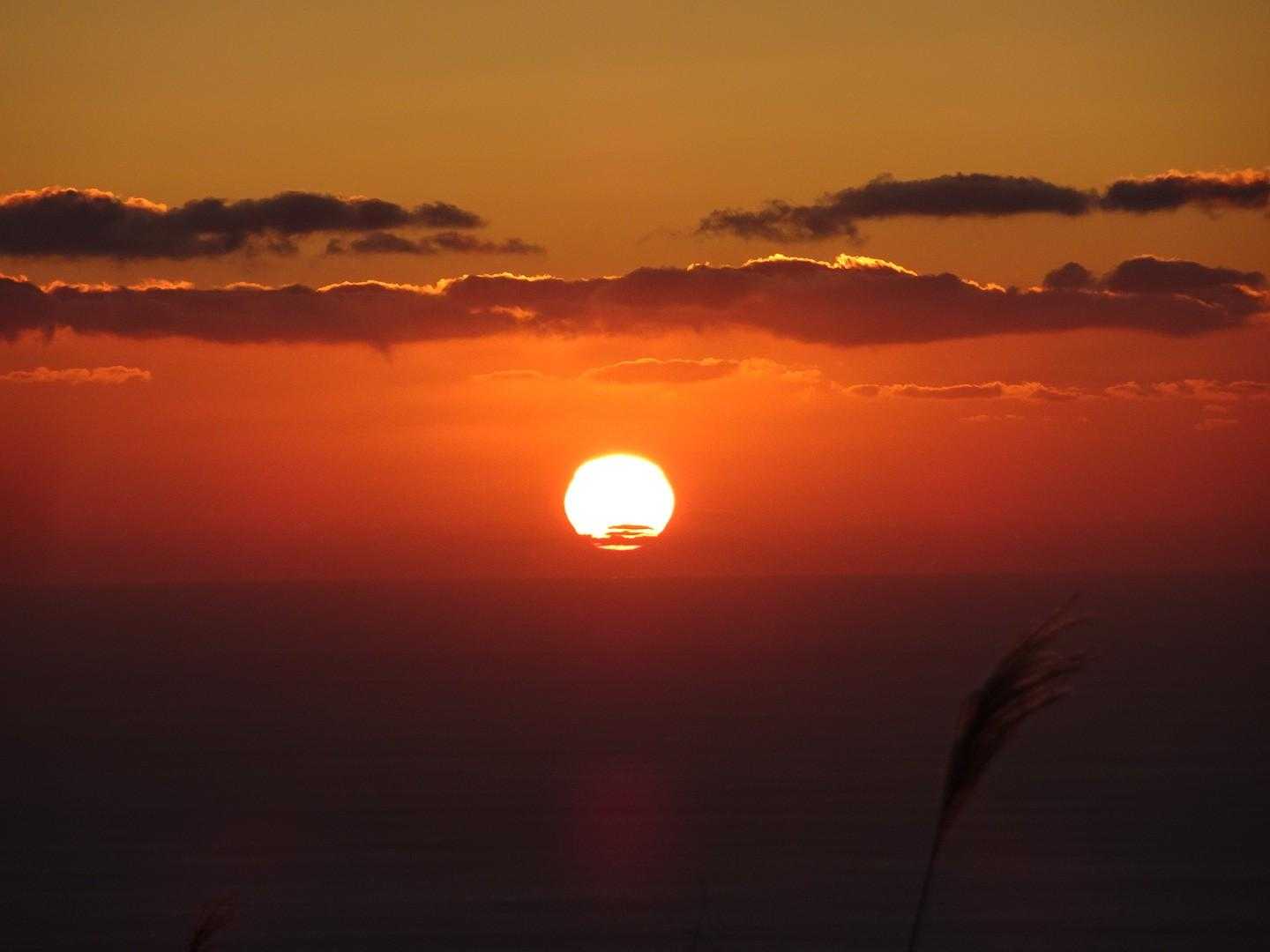 色利登山口-元越山 往復コースの写真