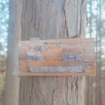 見えにくいけど雄嶽⛰️制覇！